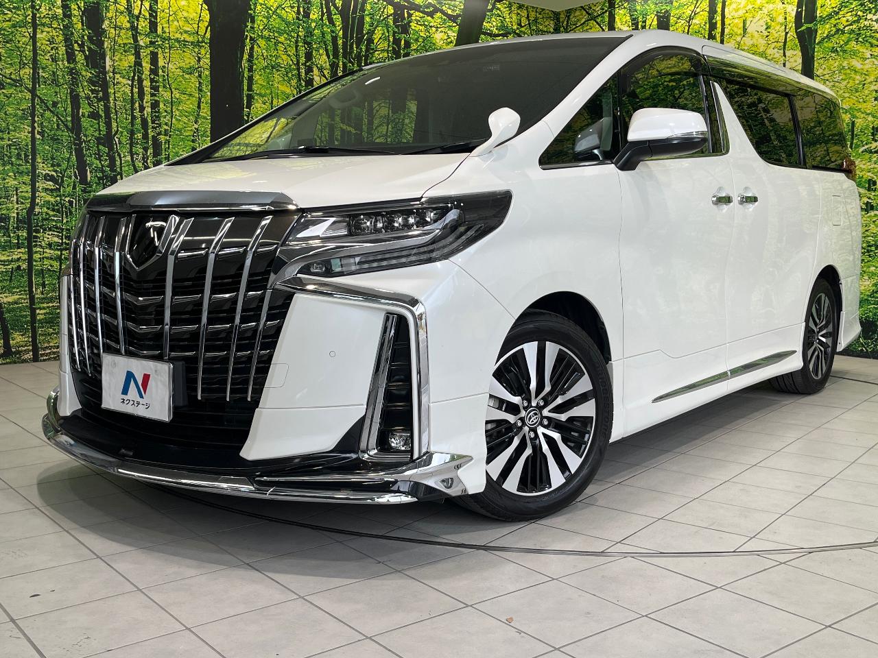 2019 Toyota Alphard 2.5S C Package