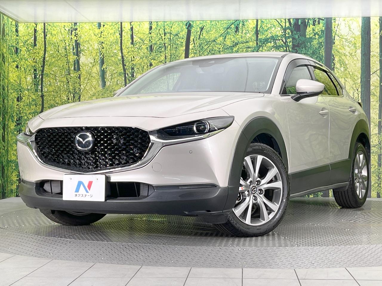 2022 Mazda CX-30 20S Proactive