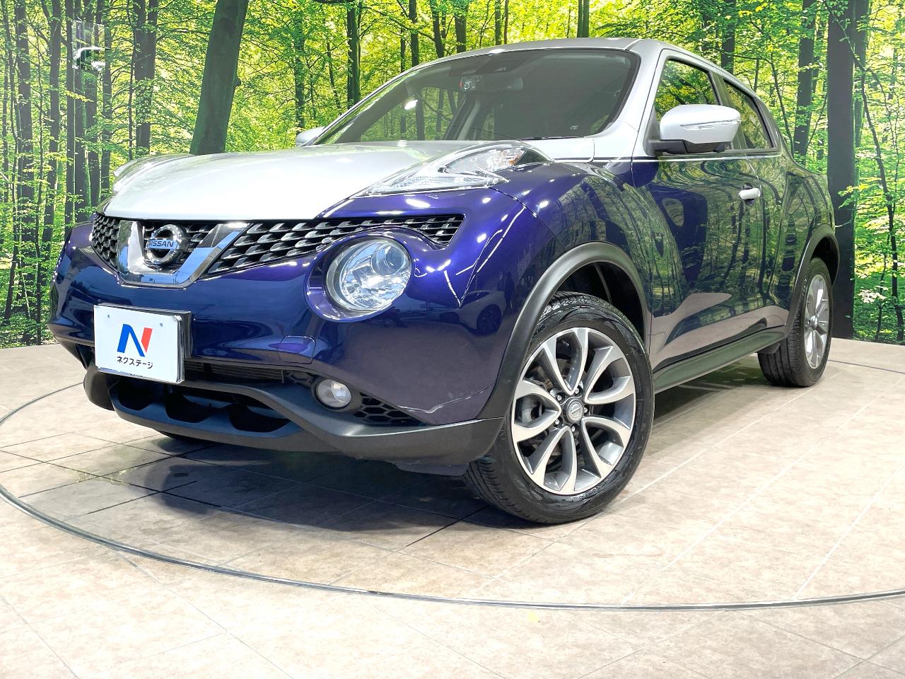 2017 Nissan Juke 15RX V Selection Dress-up