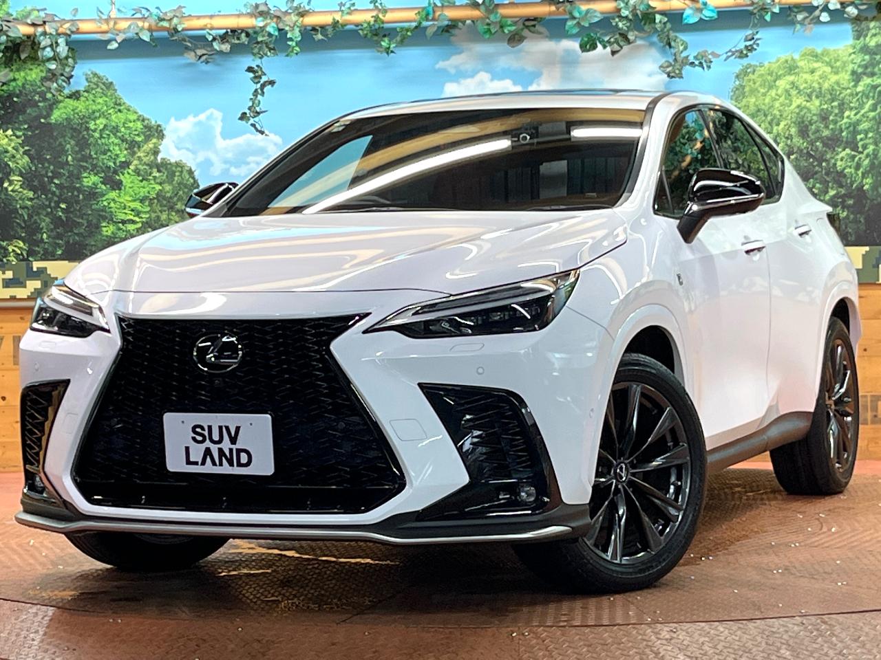 2022 Lexus NX Hybrid NX350h F Sport
