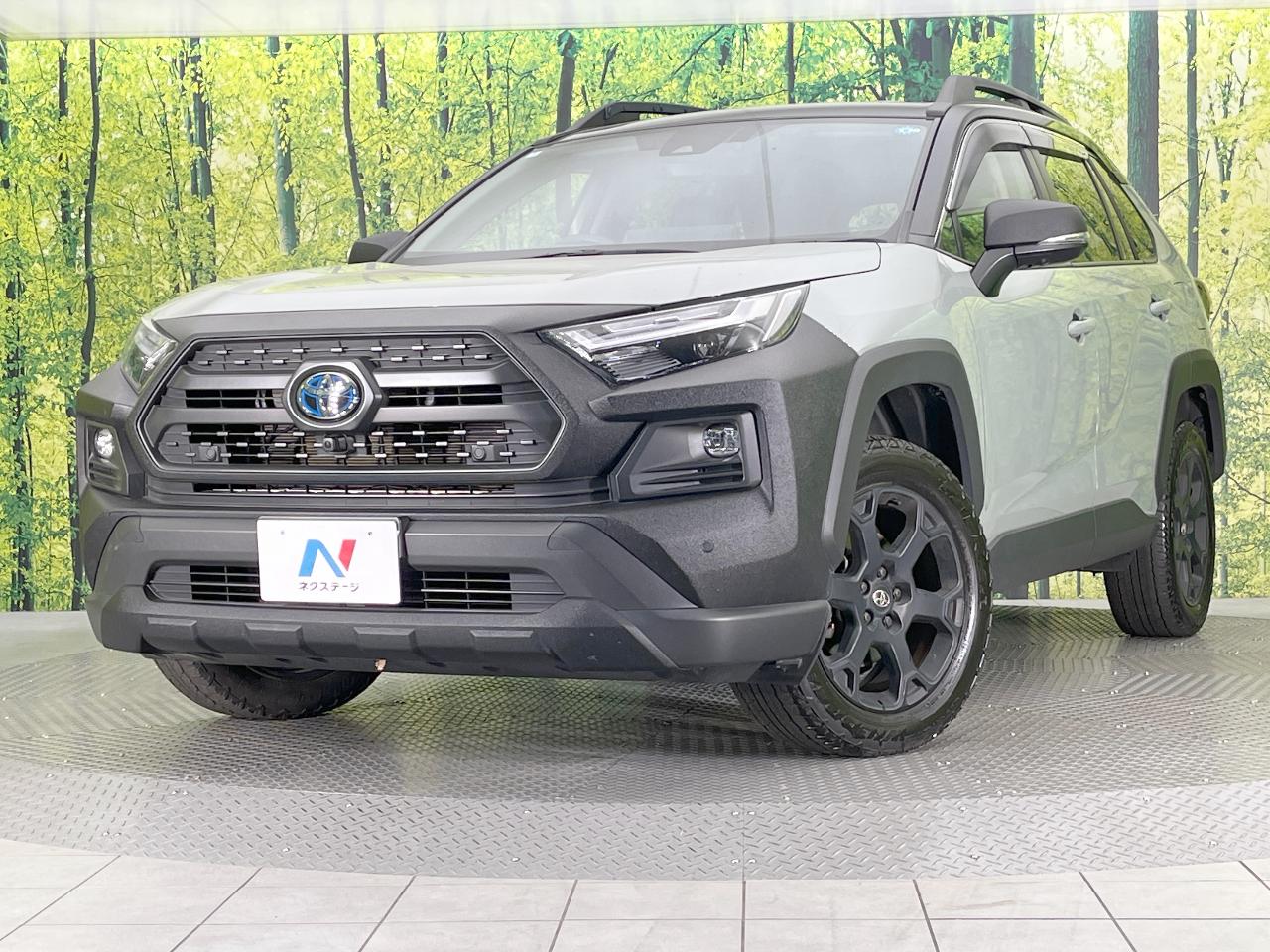 2024 Toyota RAV4 Hybrid Hybrid Adventure Offroad Package II