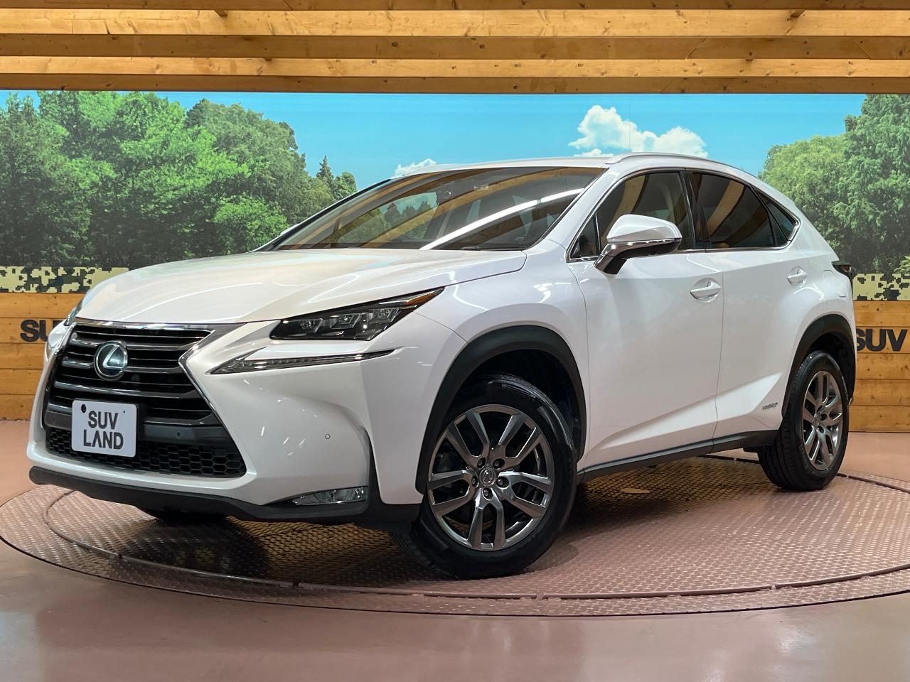 2015 Lexus NX Hybrid NX300h I Package