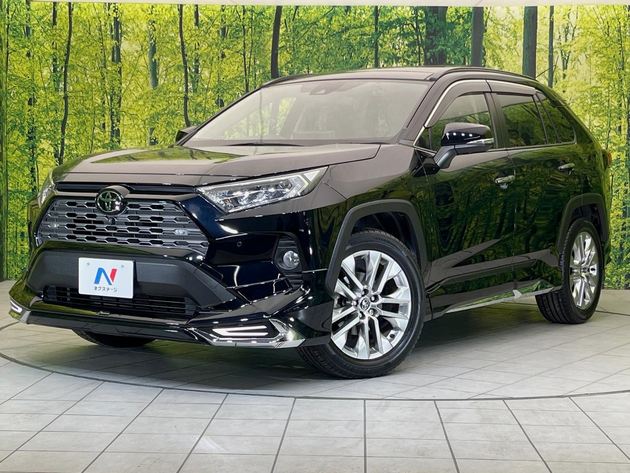 2021 Toyota RAV4 5D G Z Package