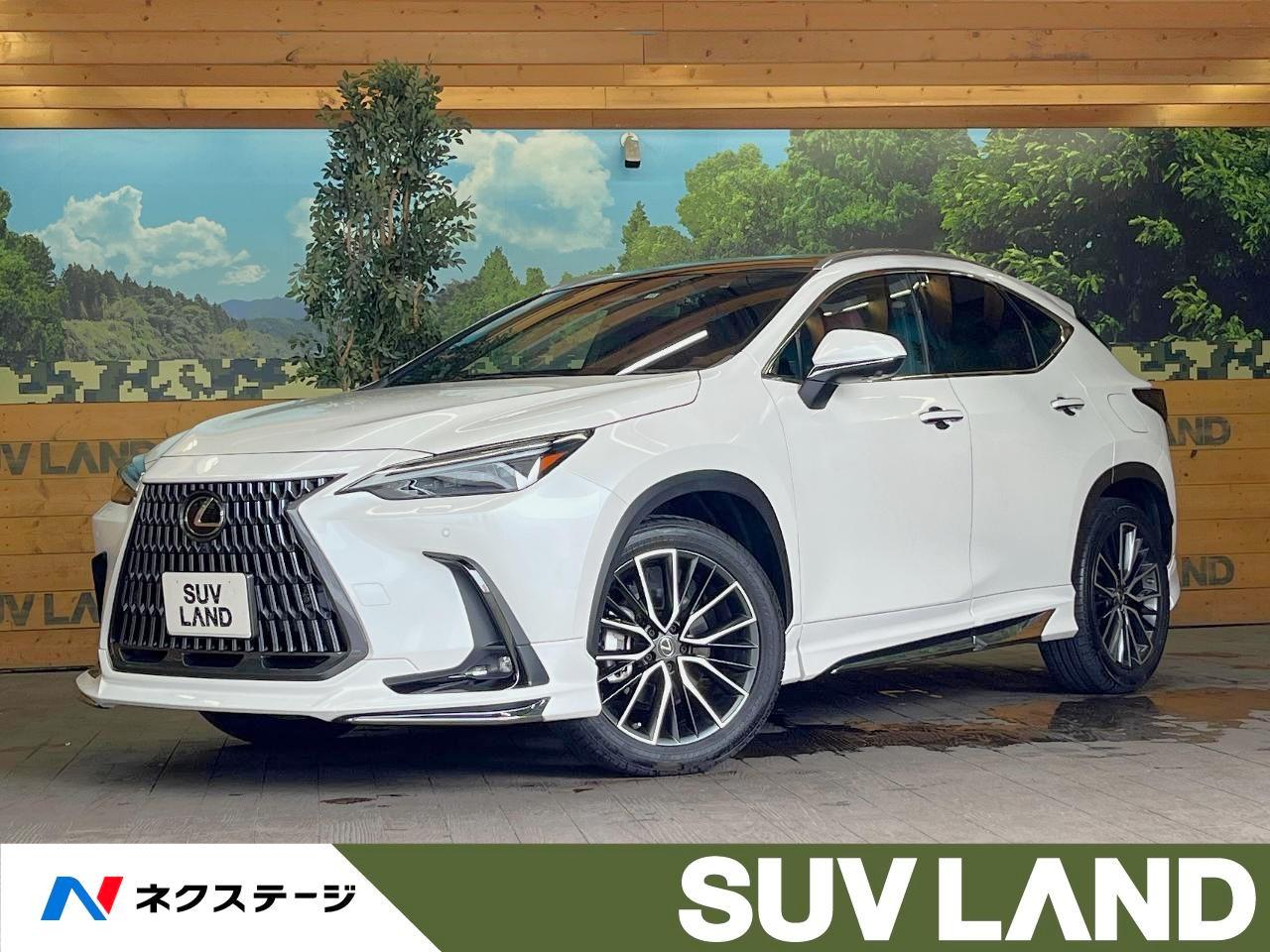 2022 Lexus NX NX250 Version L