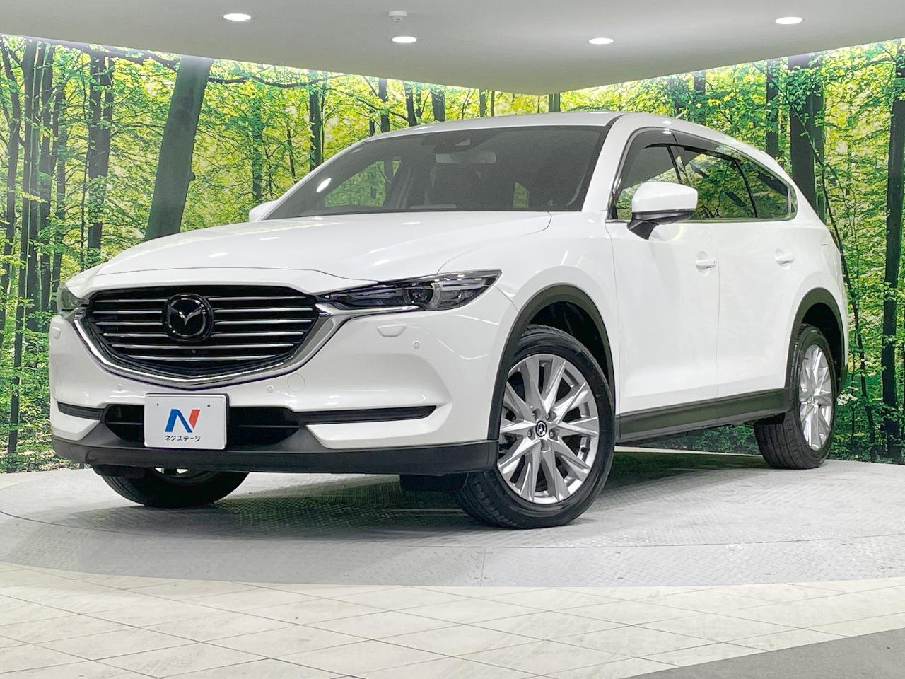 2018 Mazda CX-8 XD Proactive