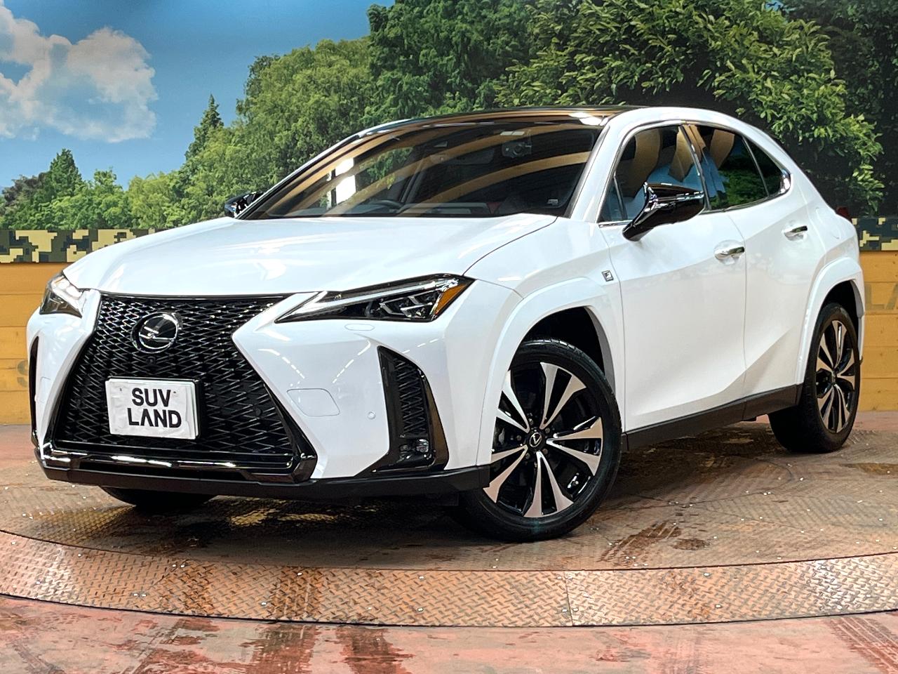 2023 Lexus UX Hybrid UX250h F Sport Emotional Explorer Special Edition