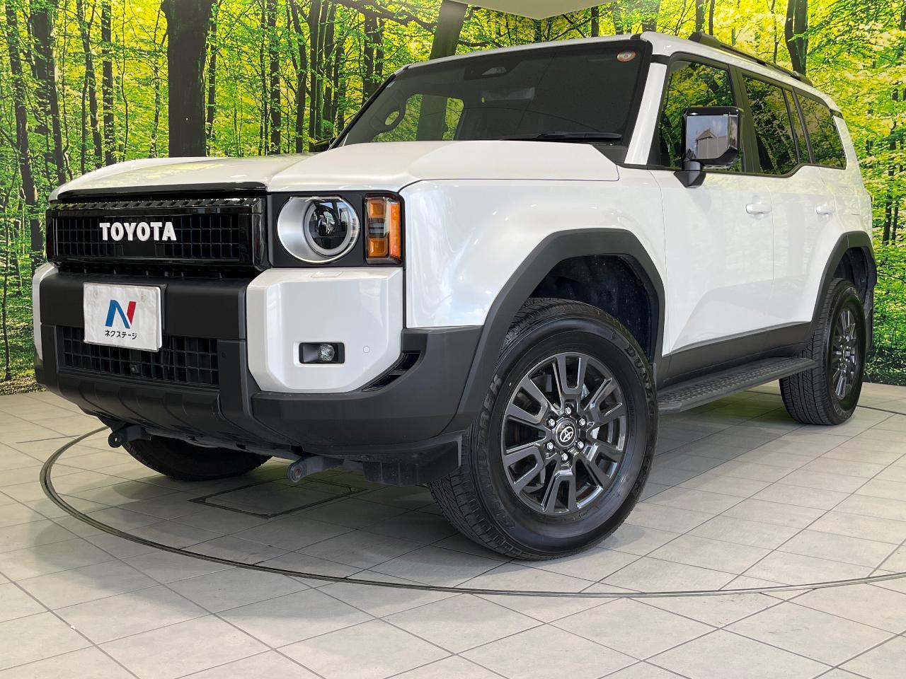 2024 Toyota LandCruiser 250 VX