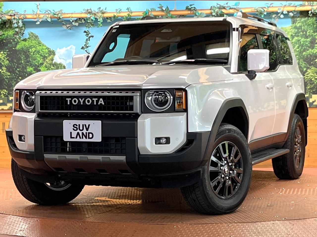 2025 Toyota LandCruiser 250 VX