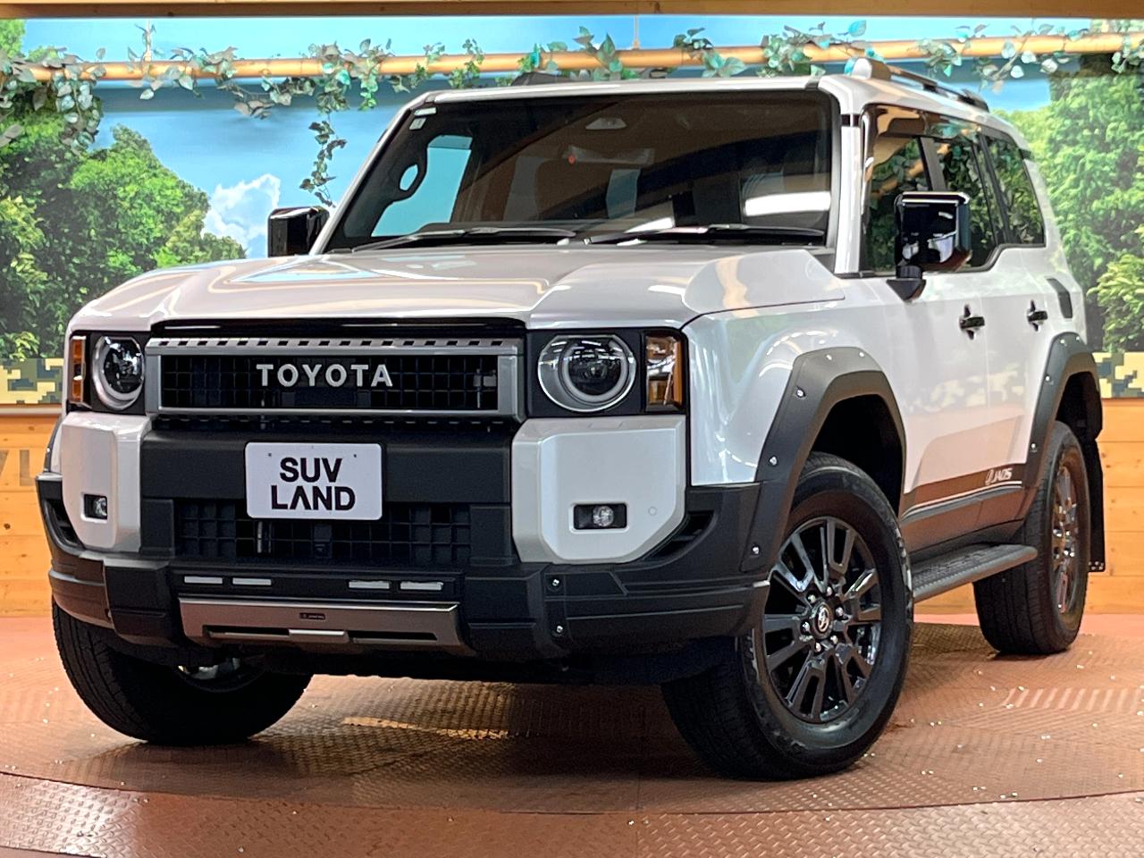2025 Toyota LandCruiser 250 VX