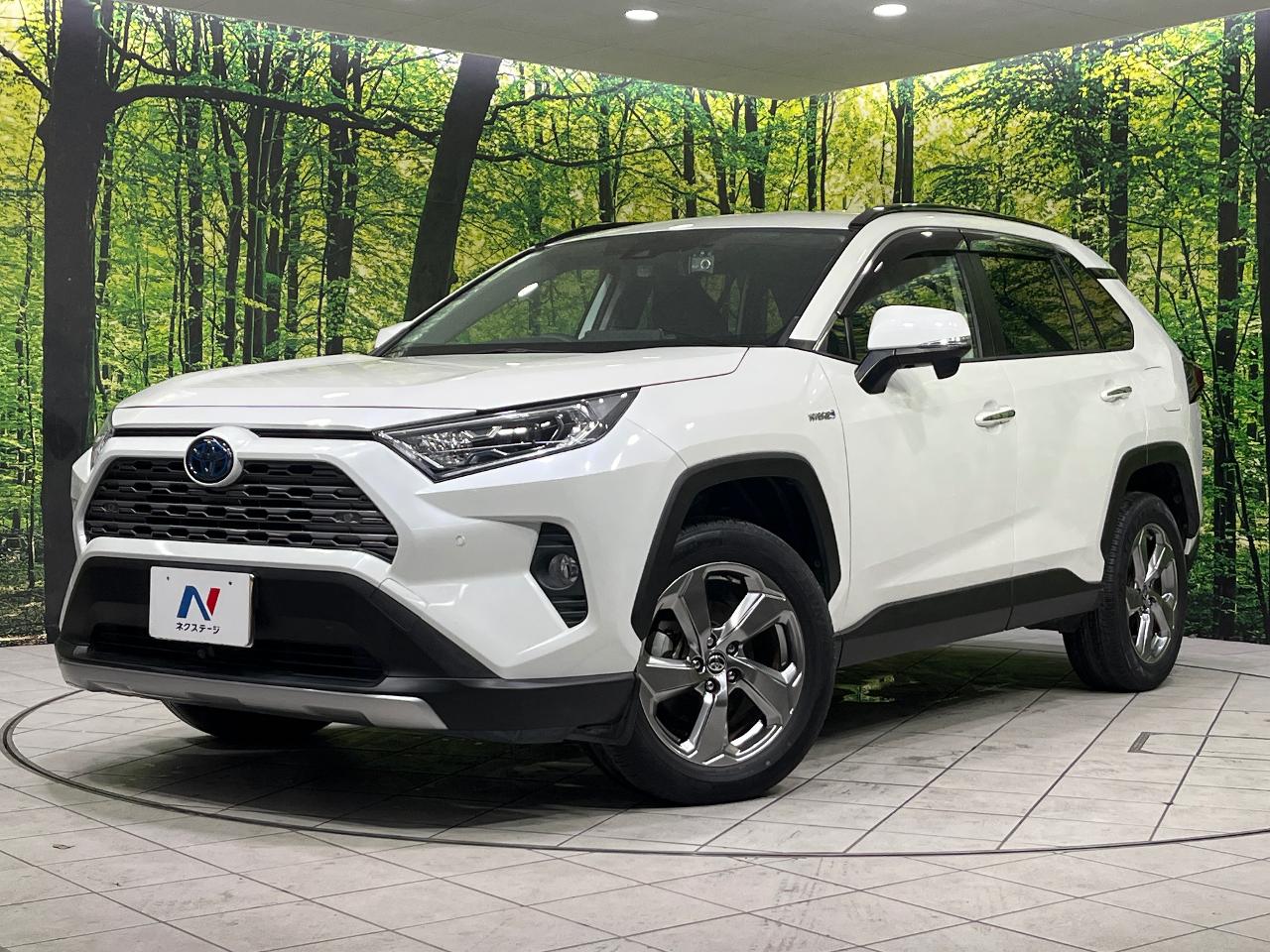 2019 Toyota RAV4 Hybrid Hybrid G