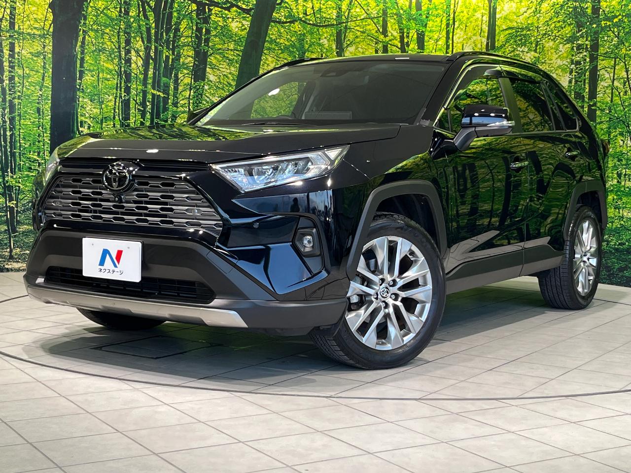 2023 Toyota RAV4 5D G Z Package
