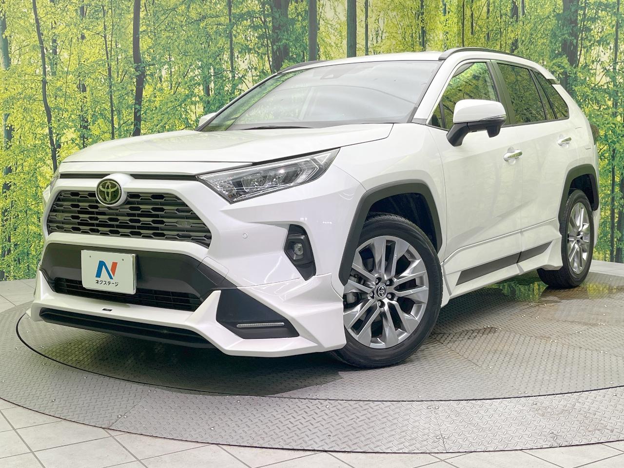 2022 Toyota RAV4 5D G Z Package