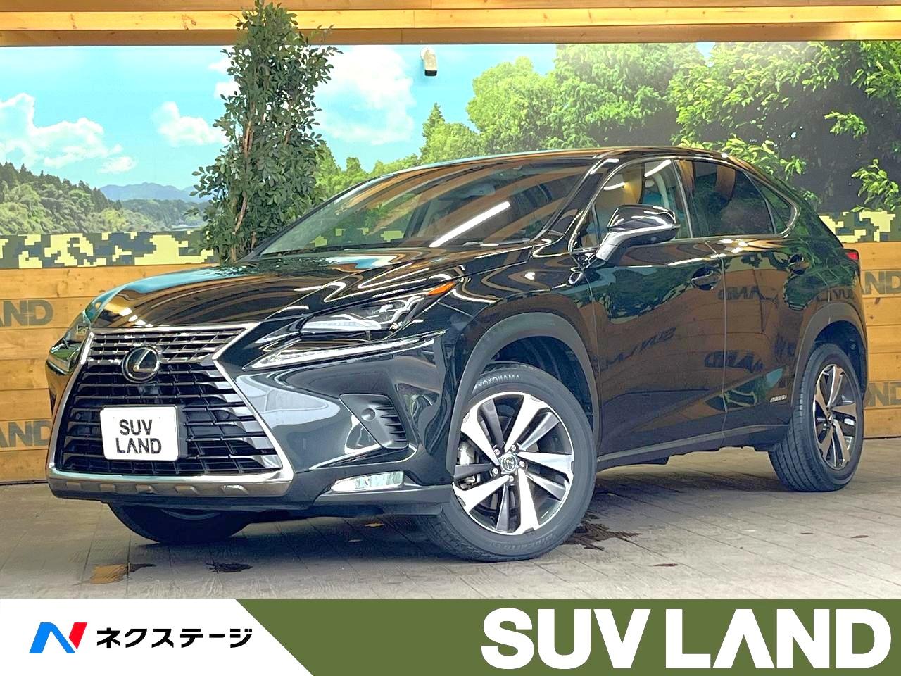 2018 Lexus NX Hybrid NX300h Version L