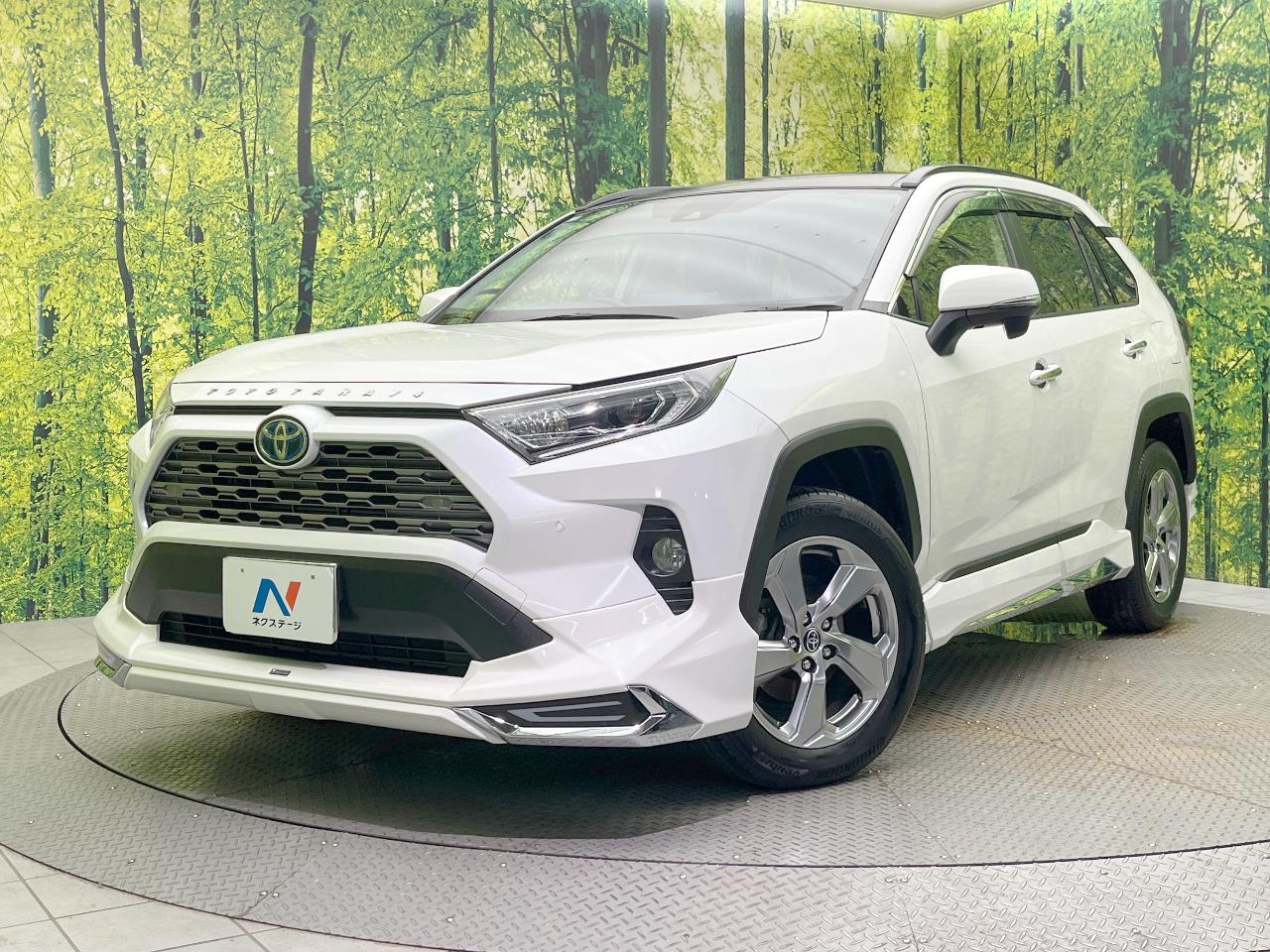 2021 Toyota RAV4 Hybrid Hybrid G