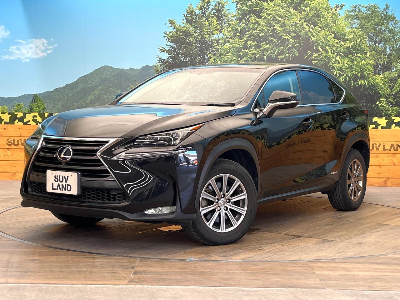 2014 Lexus NX Hybrid NX300h I Package