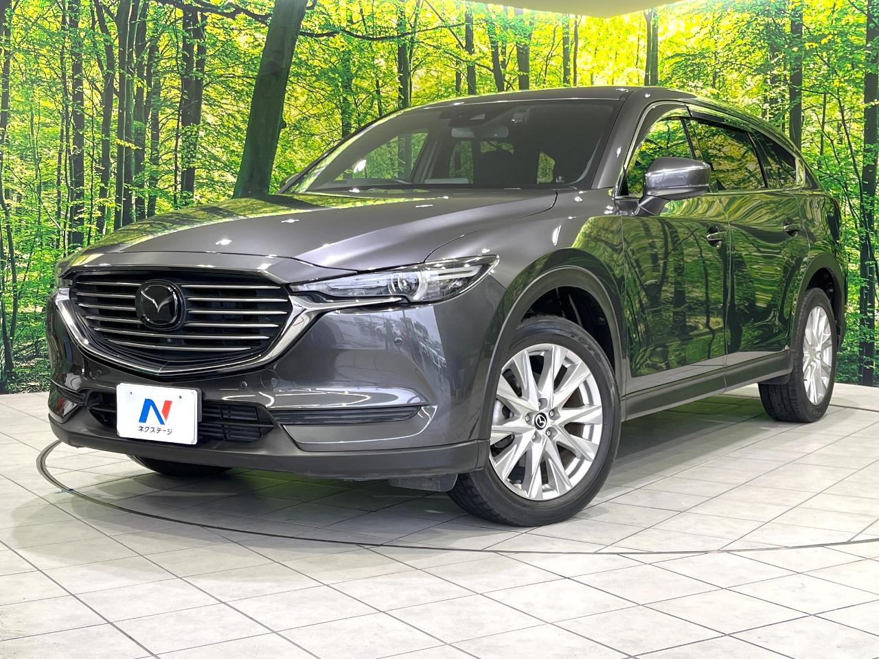 2018 Mazda CX-8 XD Proactive