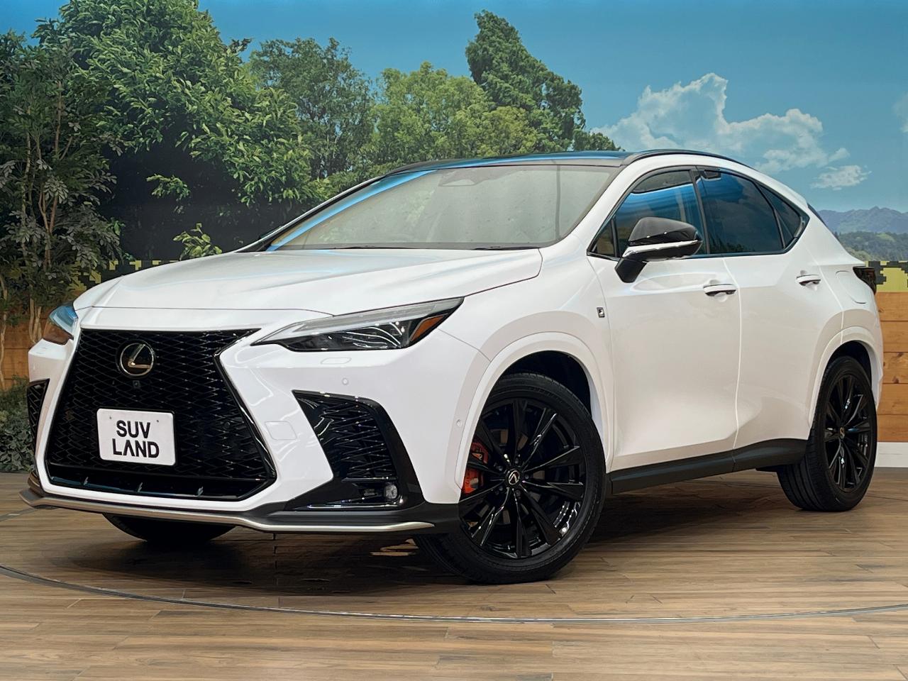 2024 Lexus NX Hybrid NX350h F Sport