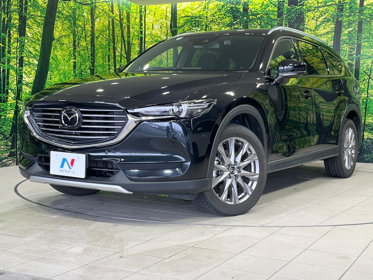 2019 Mazda CX-8 25S Proactive