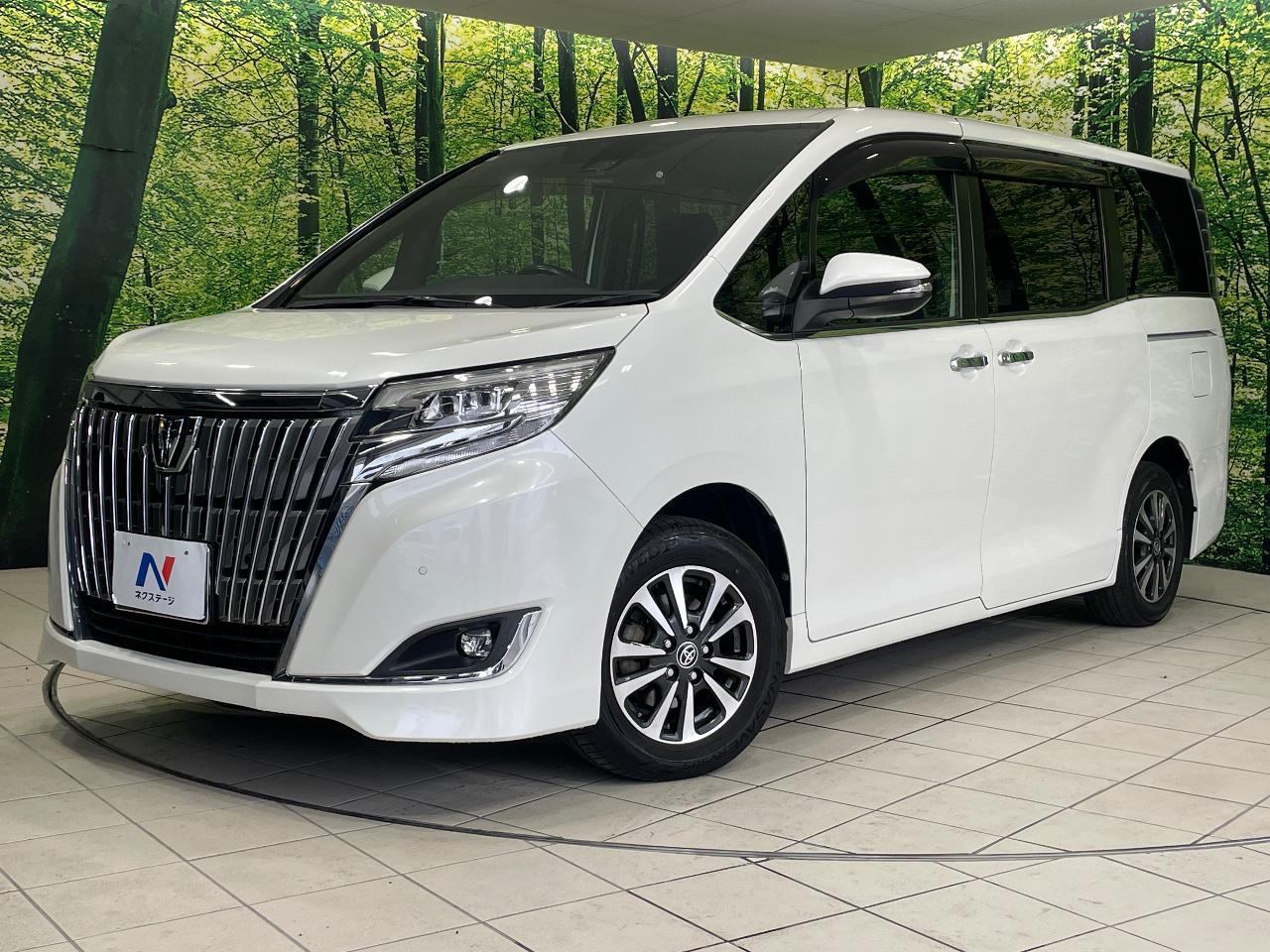 2019 Toyota Esquire Xi