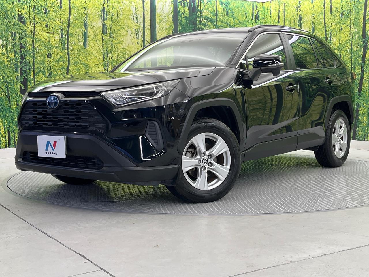 2019 Toyota RAV4 Hybrid Hybrid X
