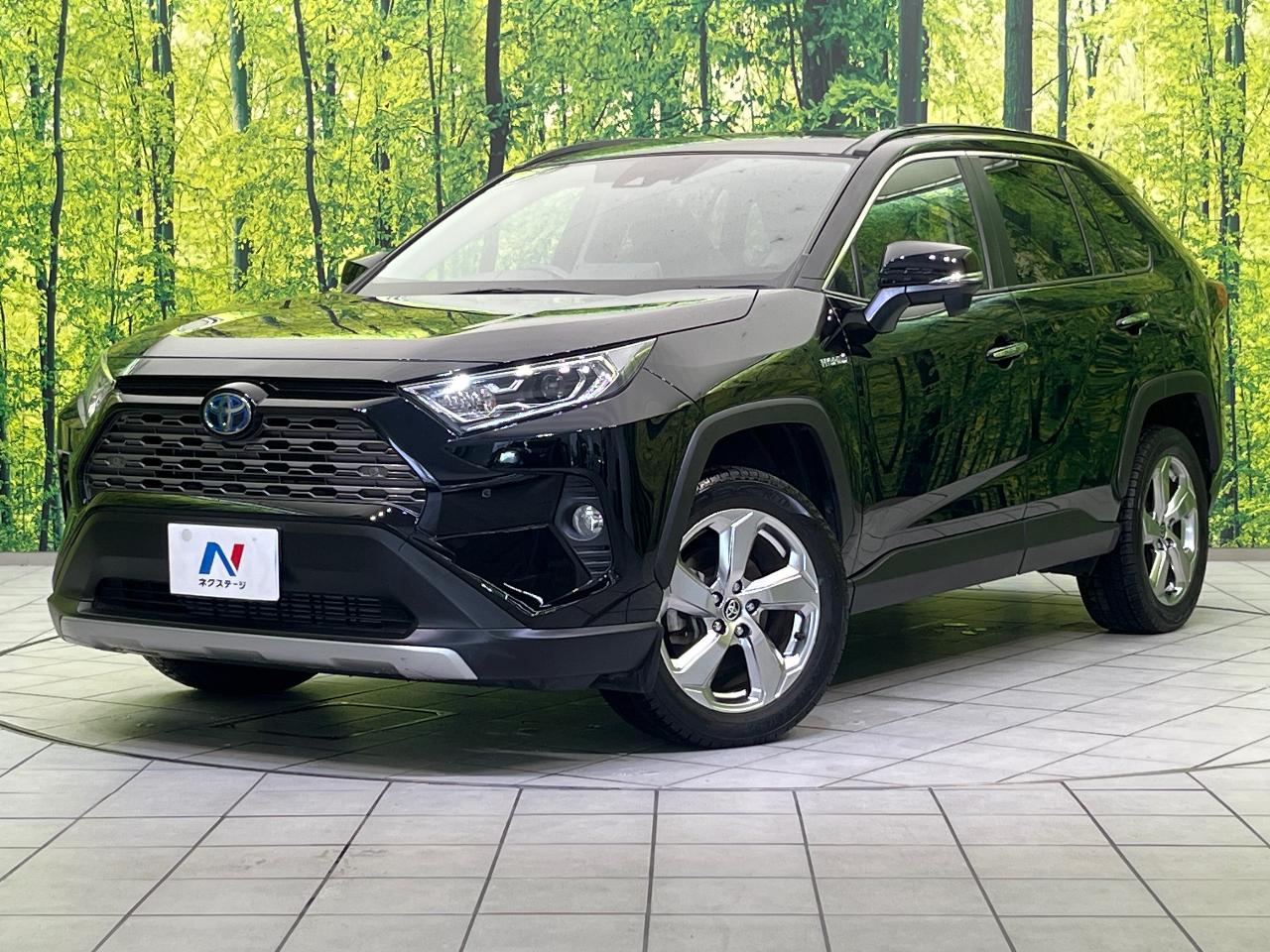 2020 Toyota RAV4 Hybrid Hybrid G