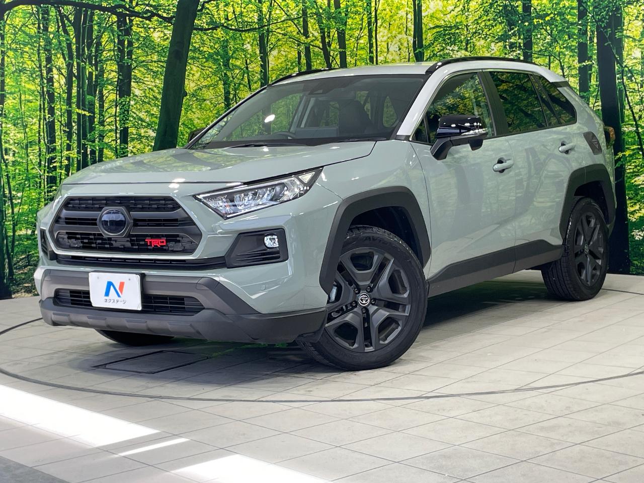 2025 Toyota RAV4 5D Adventure