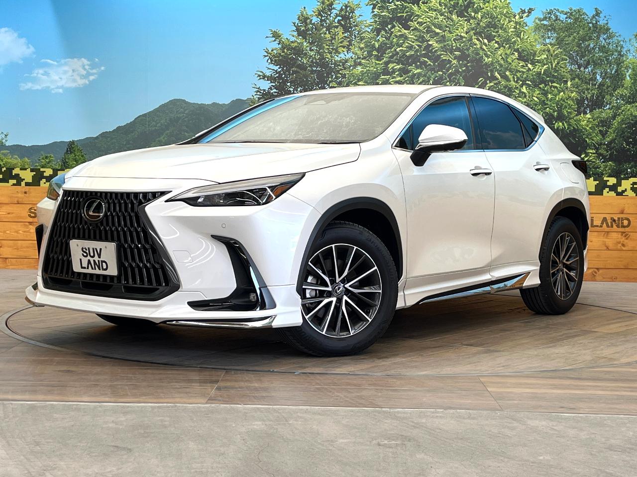 2025 Lexus NX Hybrid NX350h