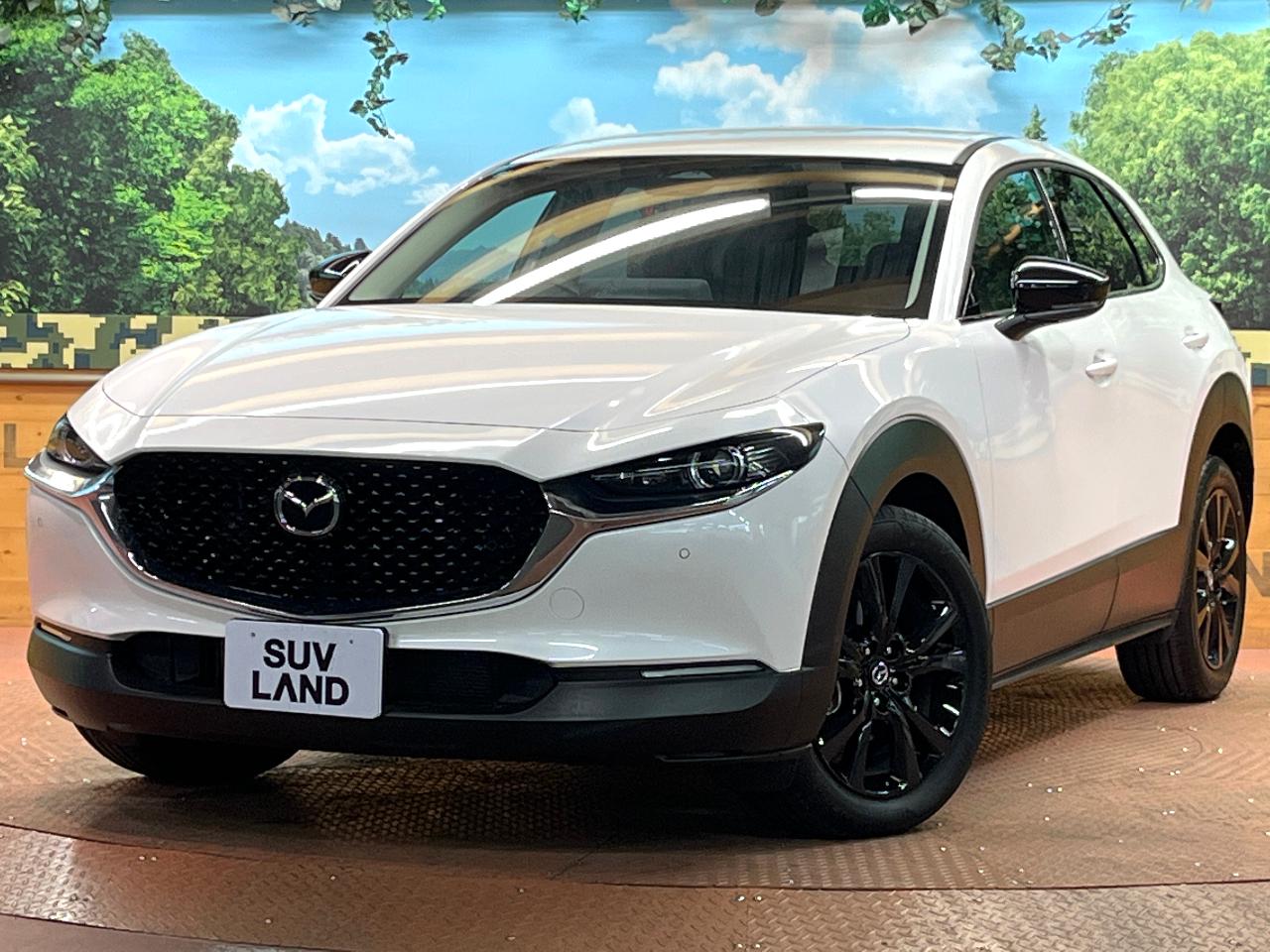 2025 Mazda CX-30 20S Black Selection