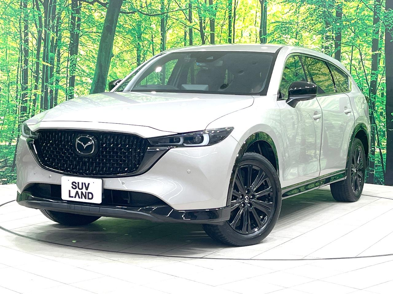 2023 Mazda CX-8 25S Sports Appearance