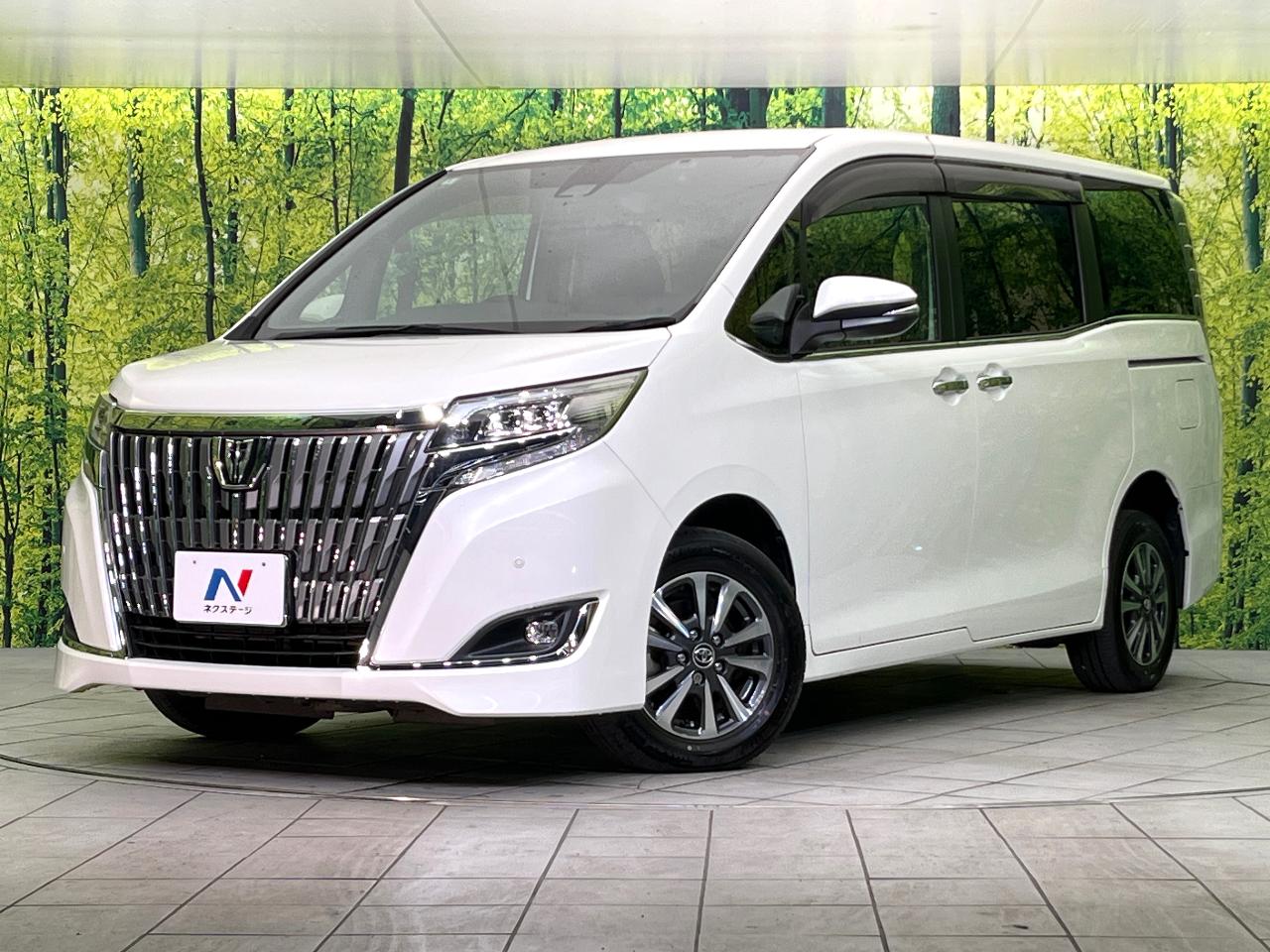 2018 Toyota Esquire Gi Premium Package