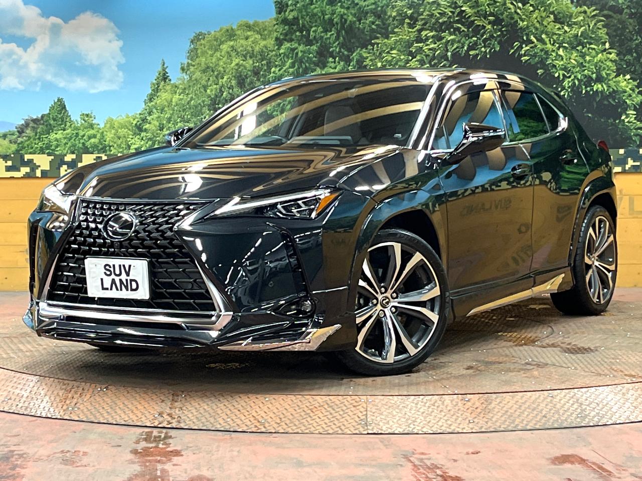 2023 Lexus UX Hybrid UX250h Special Edition Graceful Explorer