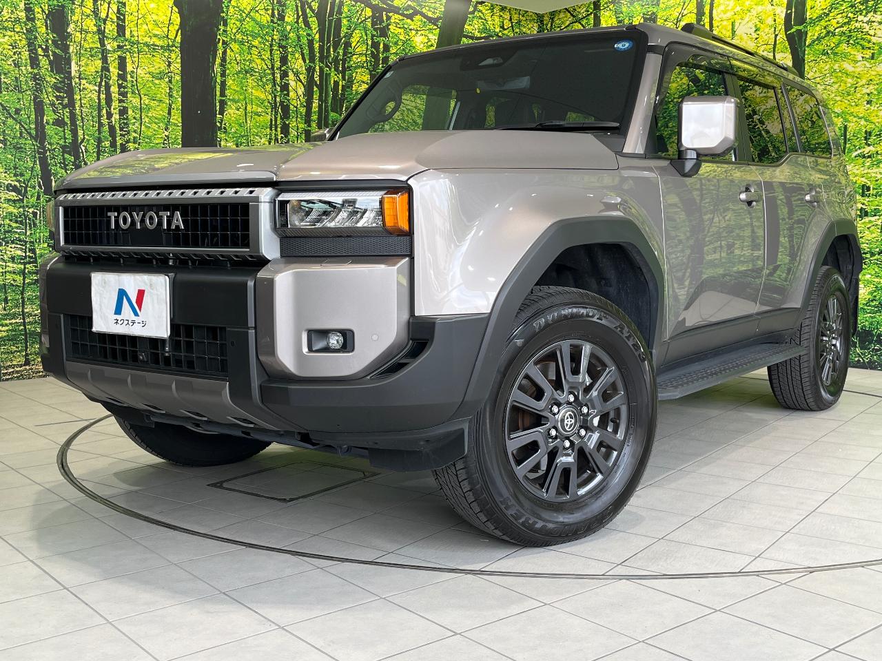 2025 Toyota LandCruiser 250 VX