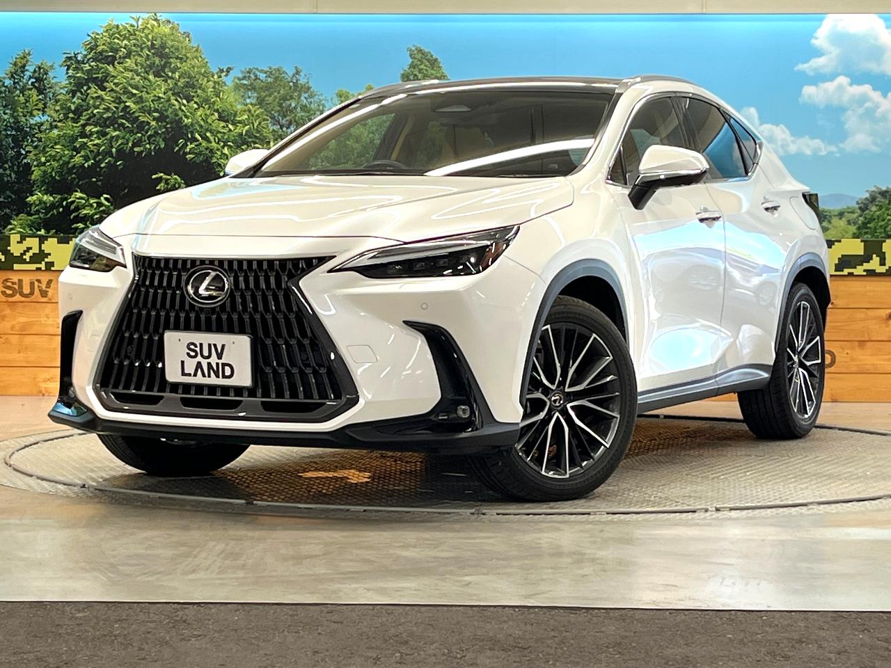 2023 Lexus NX NX250 Version L