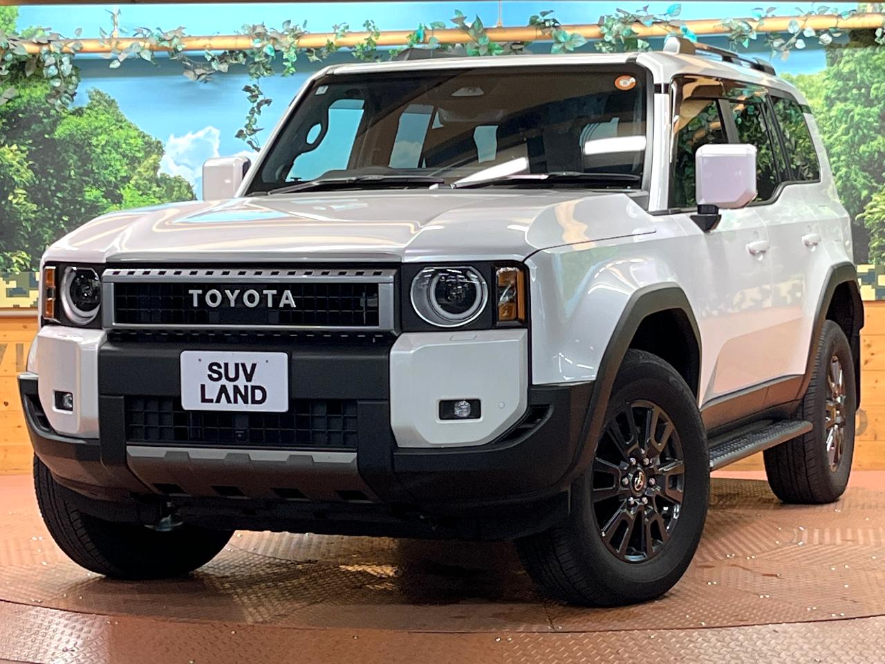 2025 Toyota LandCruiser 250 VX