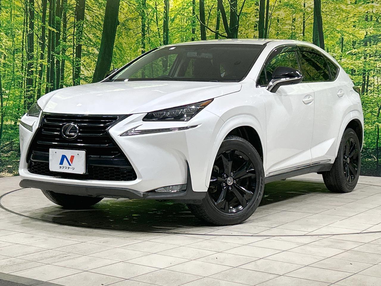 2017 Lexus NX NX200t Urban Style Special Edition