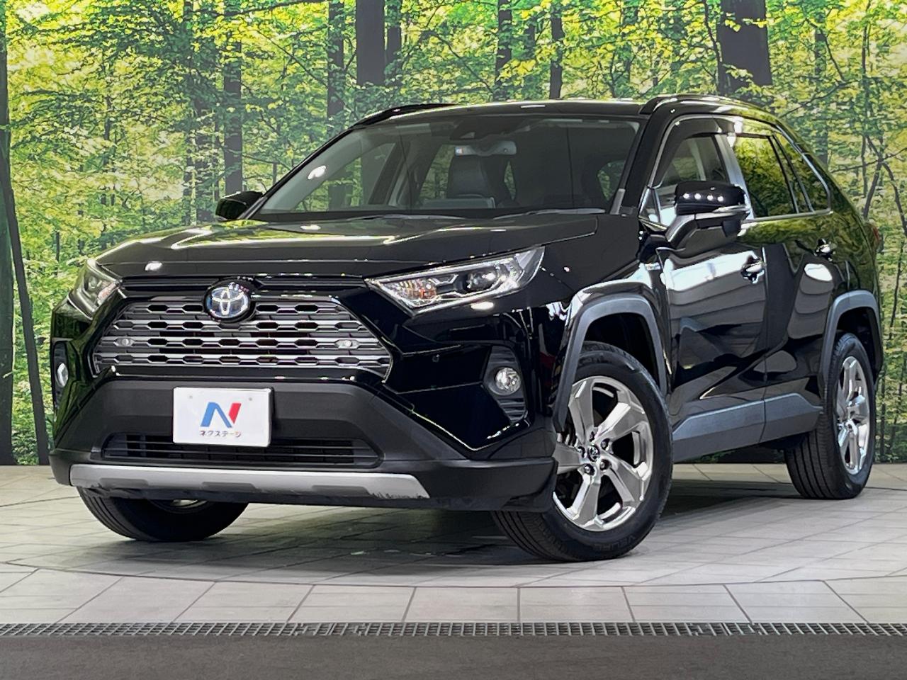 2019 Toyota RAV4 Hybrid Hybrid G