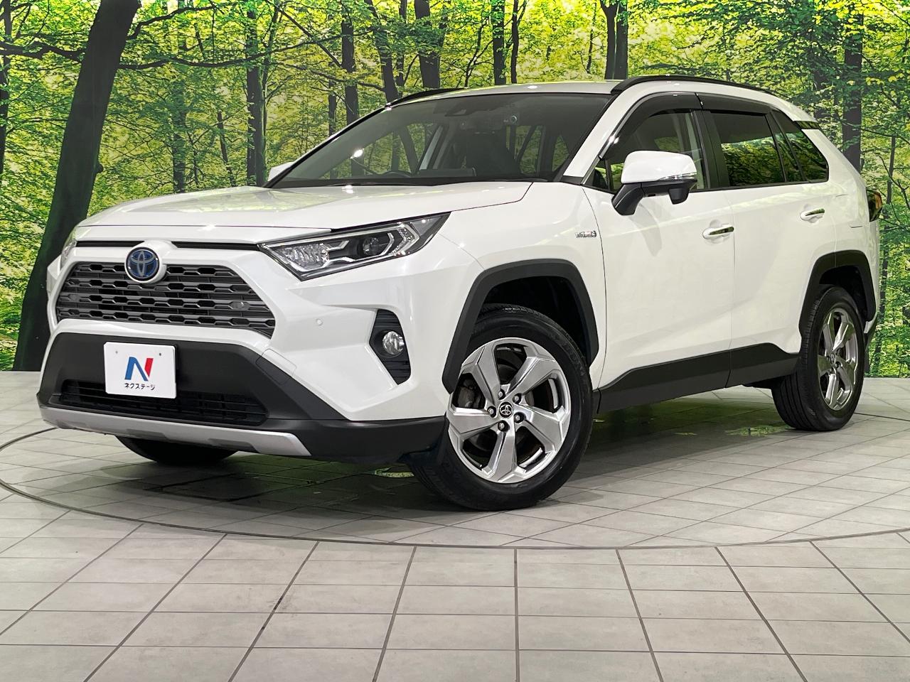 2019 Toyota RAV4 Hybrid Hybrid G