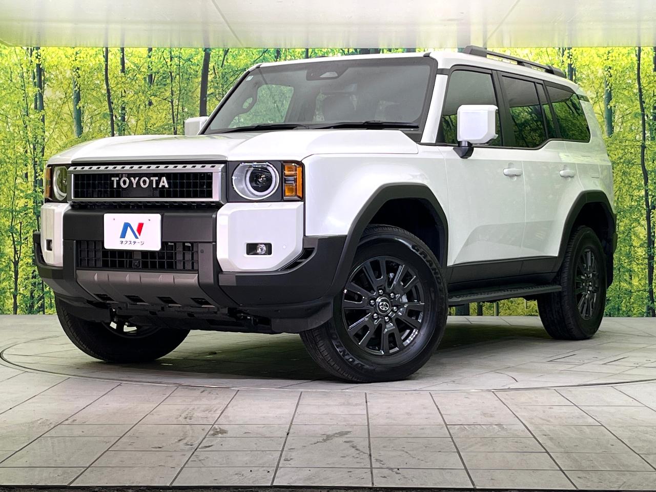 2025 Toyota LandCruiser 250 VX