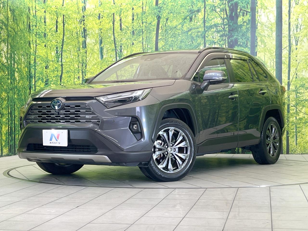 2021 Toyota RAV4 Hybrid Hybrid G