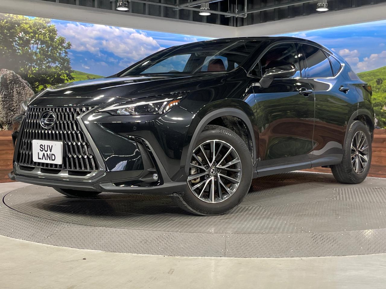 2023 Lexus NX NX250
