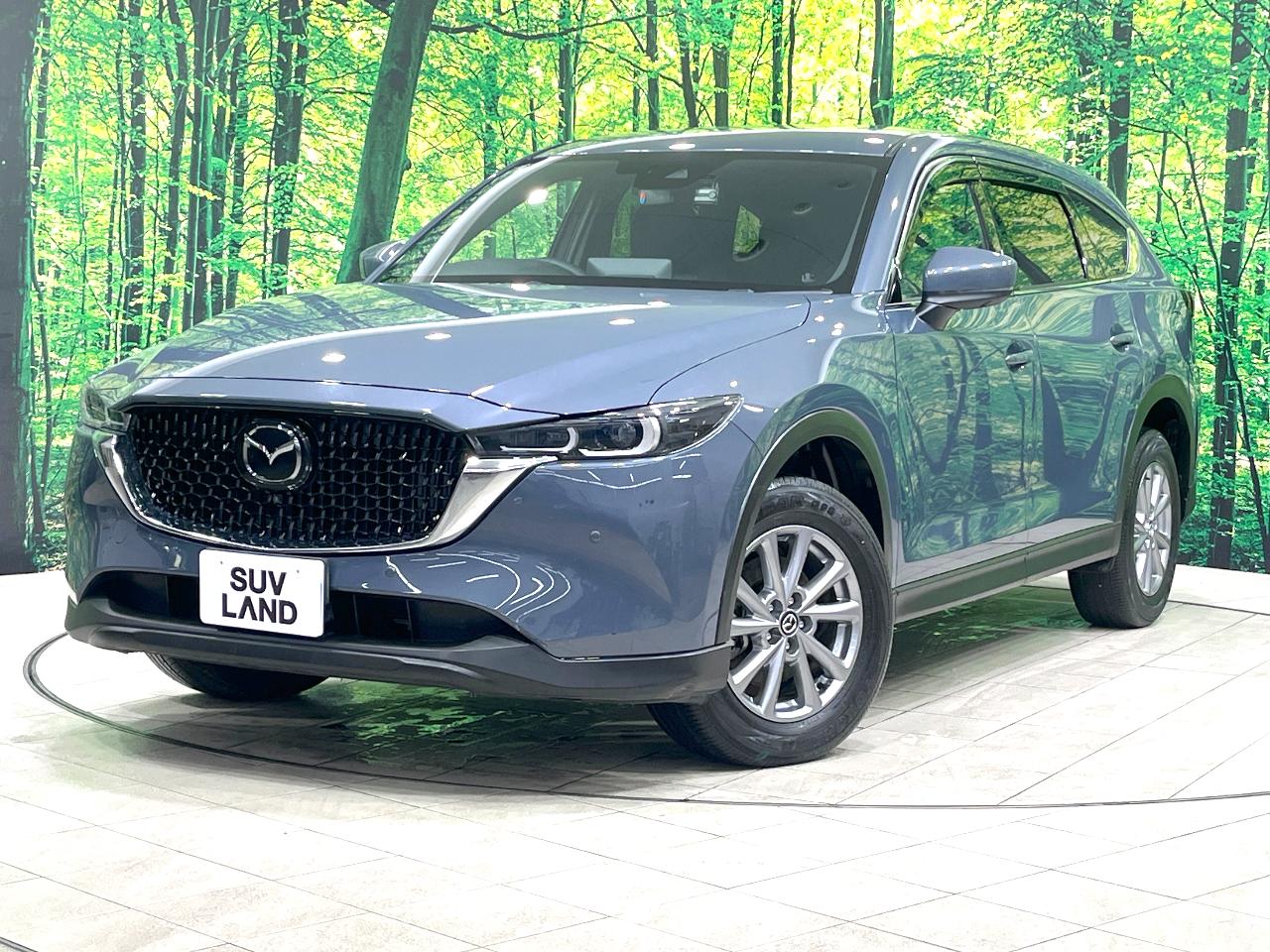 2023 Mazda CX-8 25S