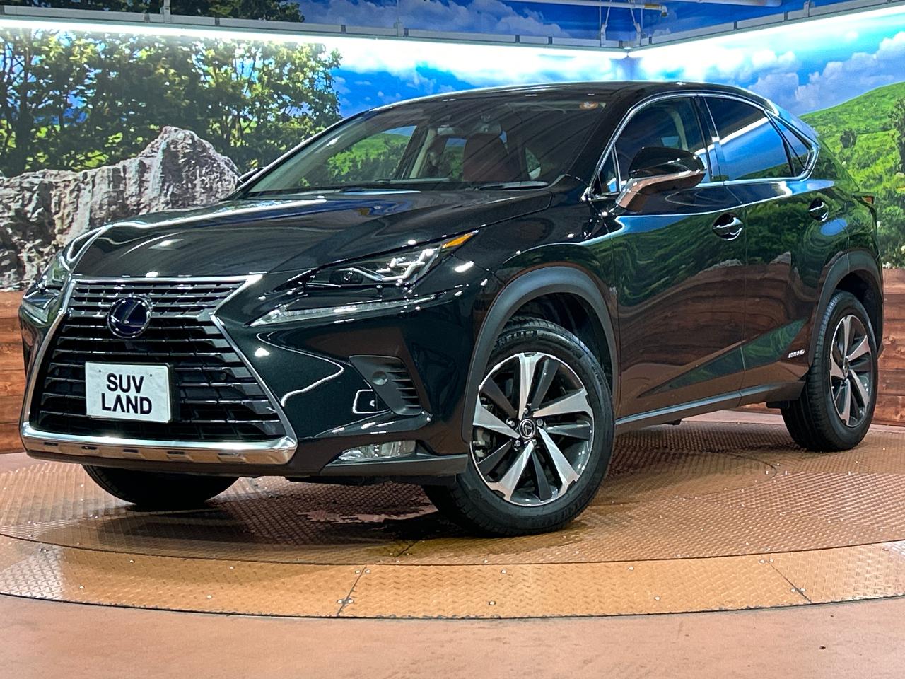 2019 Lexus NX Hybrid NX300h I Package