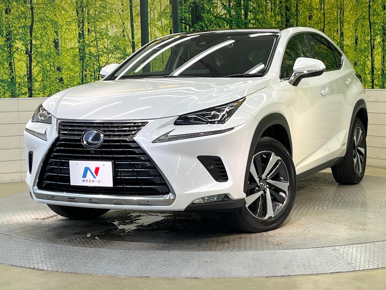 2019 Lexus NX Hybrid NX300h Version L