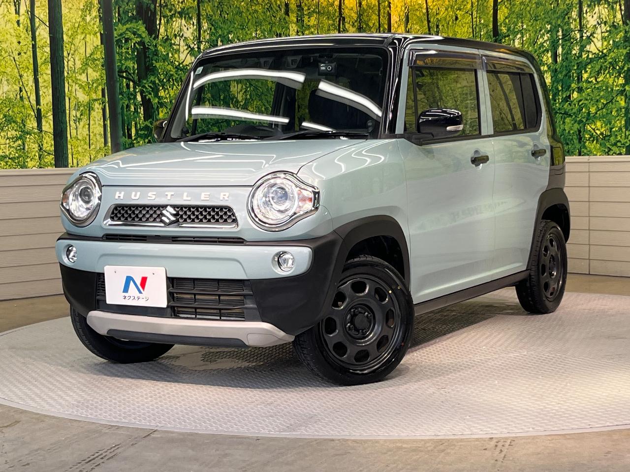 2019 Suzuki Hustler Tough Wild