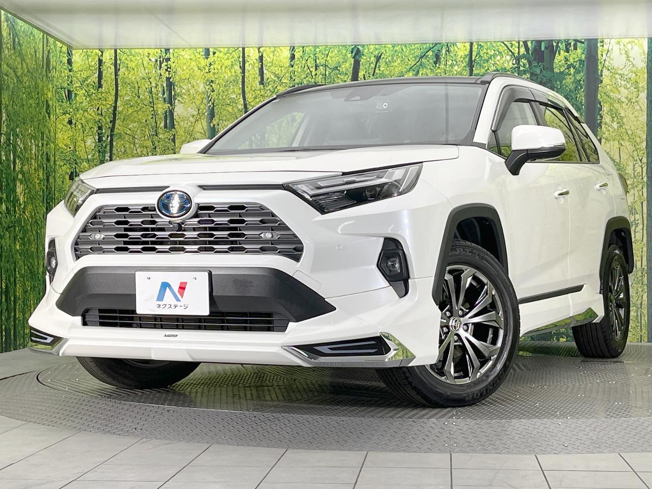 2022 Toyota RAV4 Hybrid Hybrid G