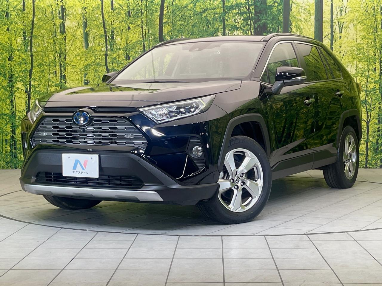 2021 Toyota RAV4 Hybrid Hybrid G