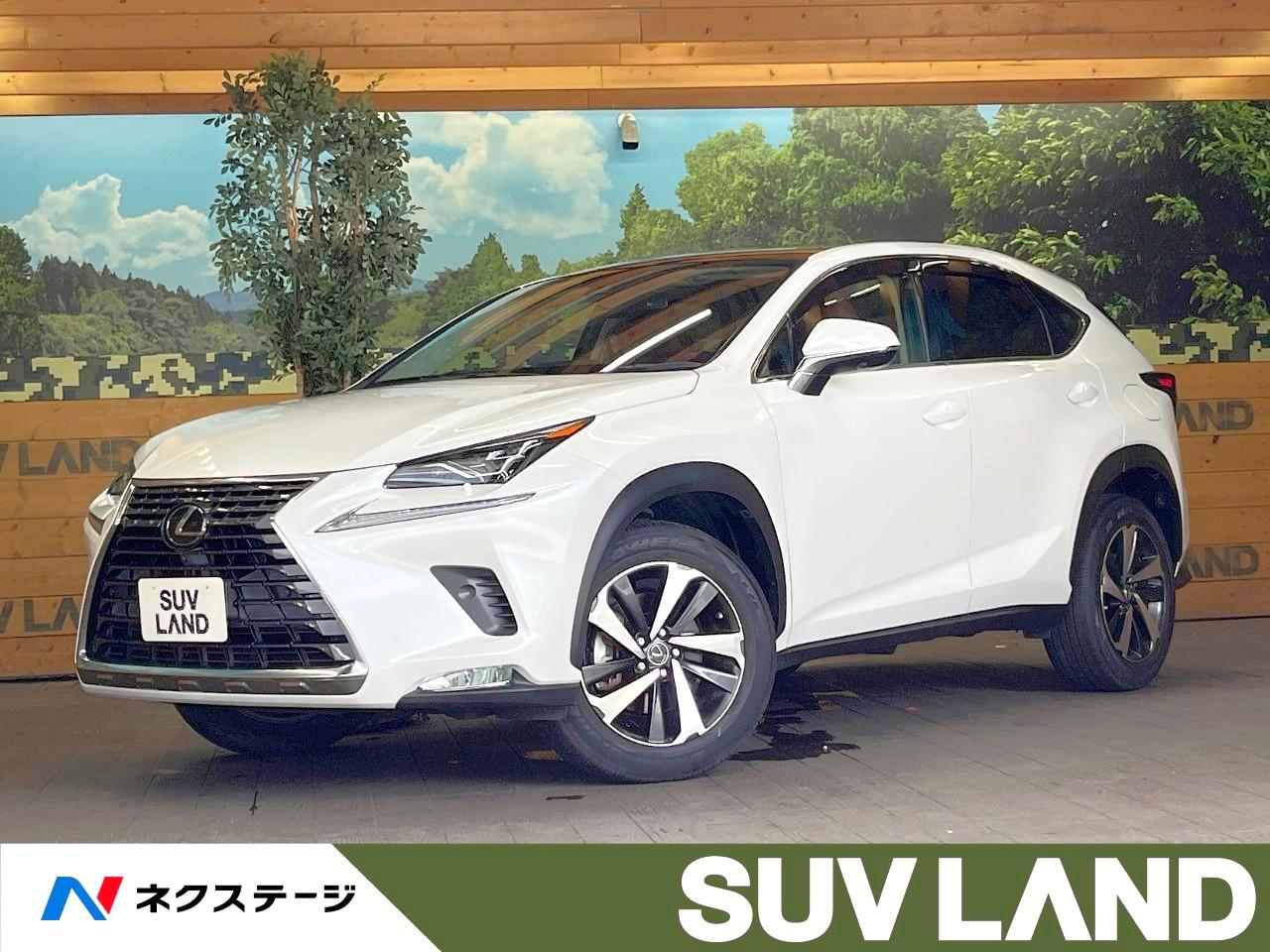 2020 Lexus NX NX300i Package