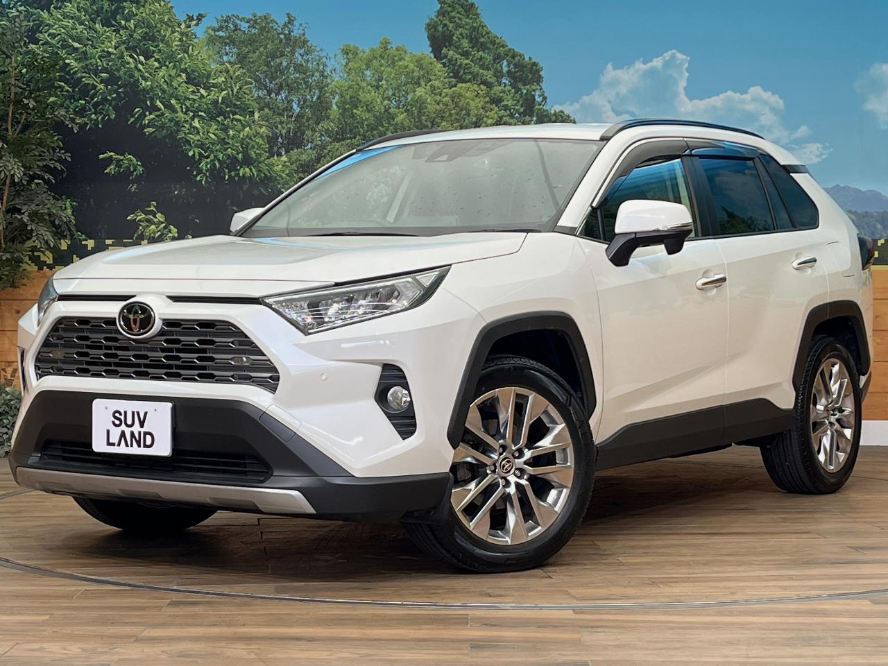 2020 Toyota RAV4 5D G Z Package