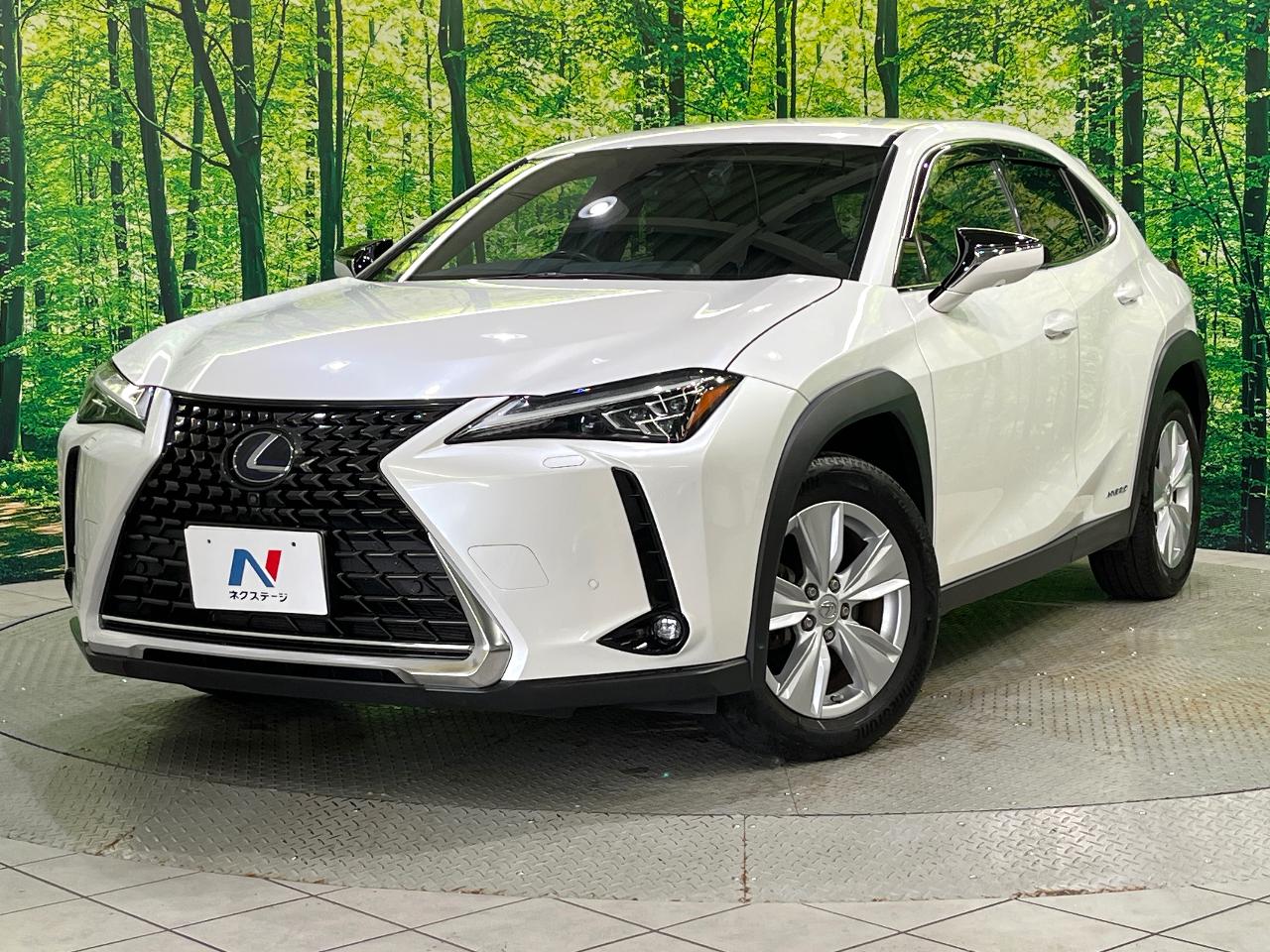 2020 Lexus UX Hybrid UX250h VERSION C