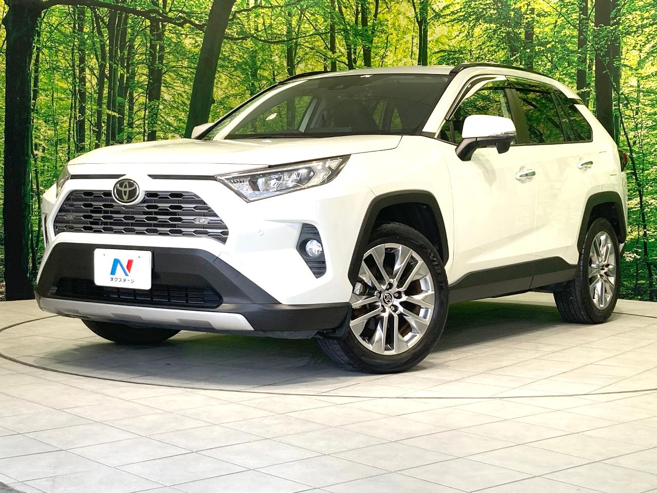 2020 Toyota RAV4 5D G Z Package